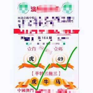 精准三肖三码资料大全,最新答案动态解析_vip2121,127.13