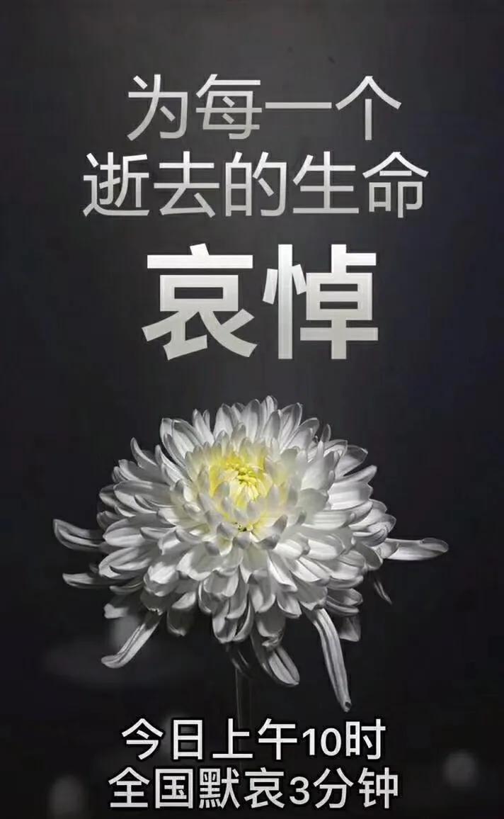 黎明之前电视剧免费完整版在线观看