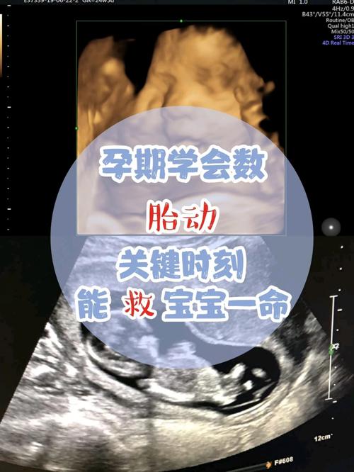 2025新澳门天天开奖记录和孕妈习惯救宝宝一命与孕妇为了救孩子